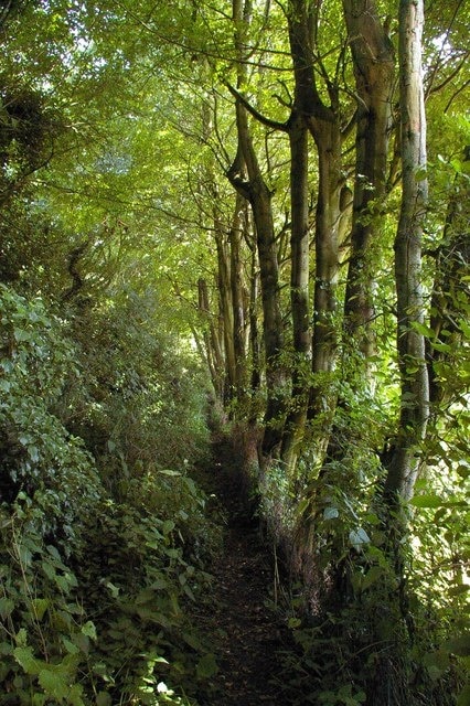 « Chart Sutton», photo de Glyn Baker (CC BY-SA) / rognée de l’originale