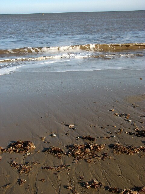 Receding waters Seaweed has been deposited on the beach by the receding waters of the tide. A yellow marker buoy can be seen on the horizon.