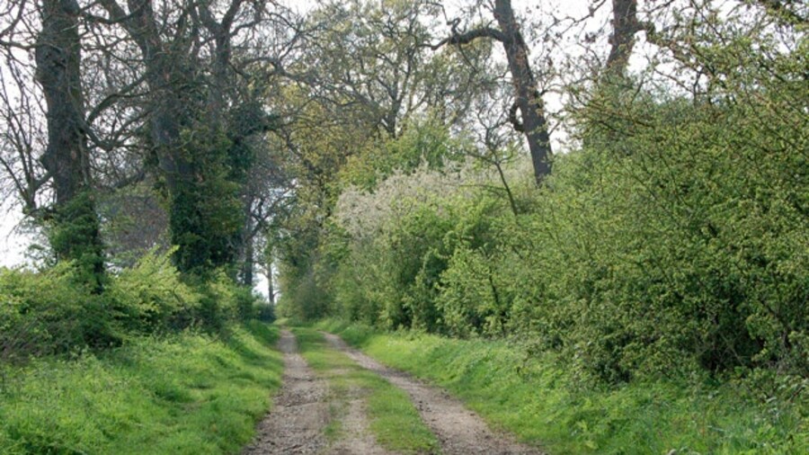 Photo "Gypsy Lane unclassified road near In Meadow Gate Looking west along Gypsy Lane, an unclassified road which runs from Lower Catesby to the Napton to Priors Marston road. On the OS 1:25000 map, this spot is marked as 'In Meadow Gate'." by Andy F (Creative Commons Attribution-Share Alike 2.0) / Cropped from original