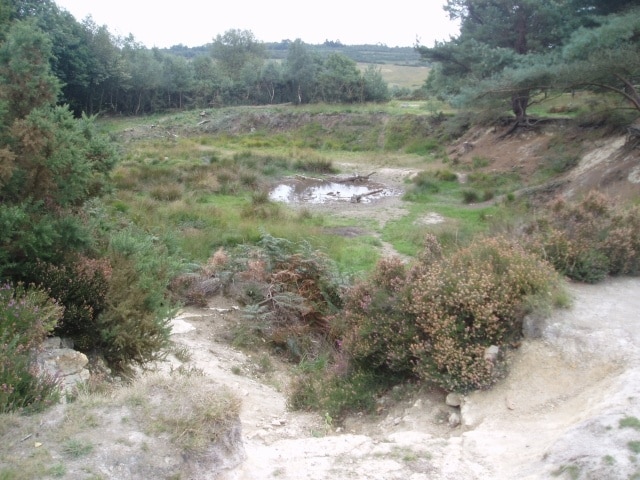 Sandpit where Roo played. In the Winnie the Pooh books, Roo played in this 'Sandpit' closely guarded by his mother, Kanga.