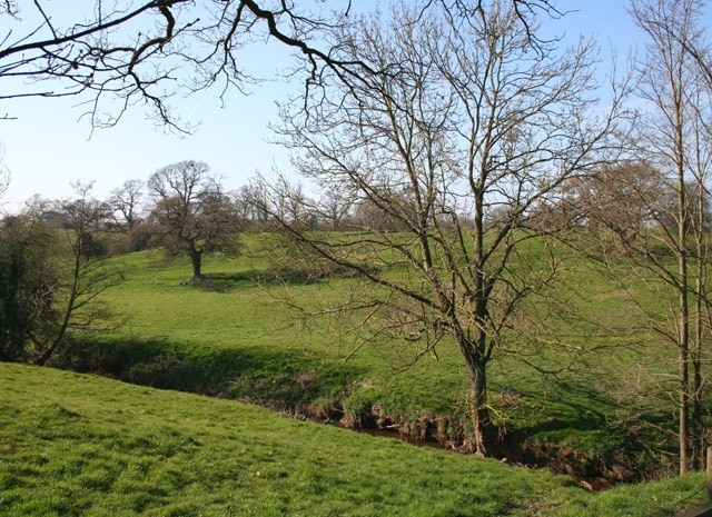 Sheep pasture by a tributary of the Weaver Sloping sheep pasture in the valley of a tributary of the River Weaver to the west of the B5074. View from the B5074, immediately south of Rookery Bridge