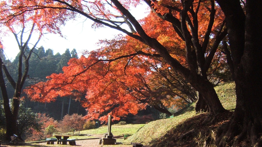 Photo "Ruins of Sakuyama castle. Ōtawara, Tochigi, Japan." by undefined () / Cropped from original