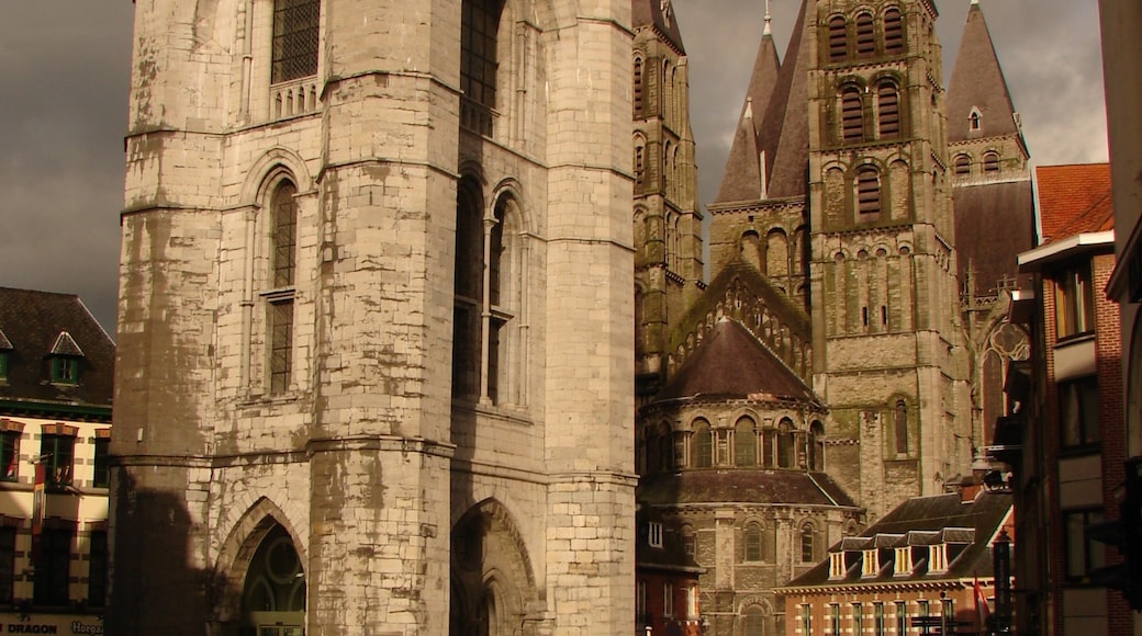Foto "Belfry of Tournai" de GVR (CC BY-SA) / Recortada do original