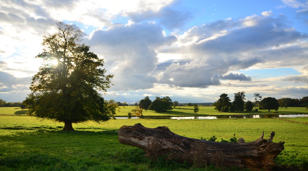 Foto "Middle Claydon" de Adrian Farwell (CC BY) / Recortada de la original