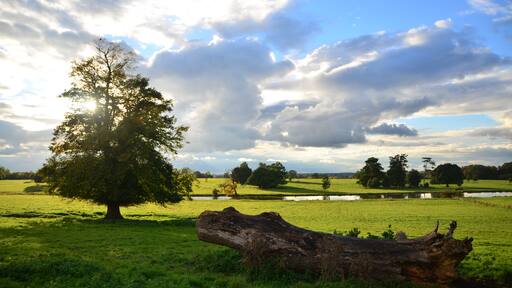 写真「ミドル クレイドン」 投稿者 Adrian Farwell 様 (CC BY) / 元の写真からトリミング