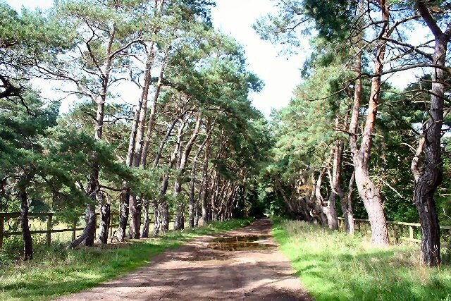 Foto "Herringswell" por Bob Jones (CC BY-SA) / Recortada de la original