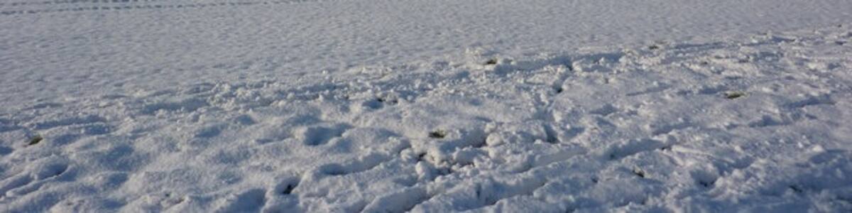 Photo "Snow covered field west of Elmswell A very large open field seen from Parnell Lane." by Andrew Hill (Creative Commons Attribution-Share Alike 2.0) / Cropped from original