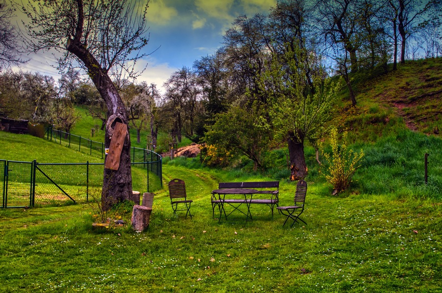Das Bild entstand während meiner Wanderung in der Umgebung von Kreischa, am Eichberg (Landkreis Sächsische Schweiz-Osterzgebirge, Sachsen)