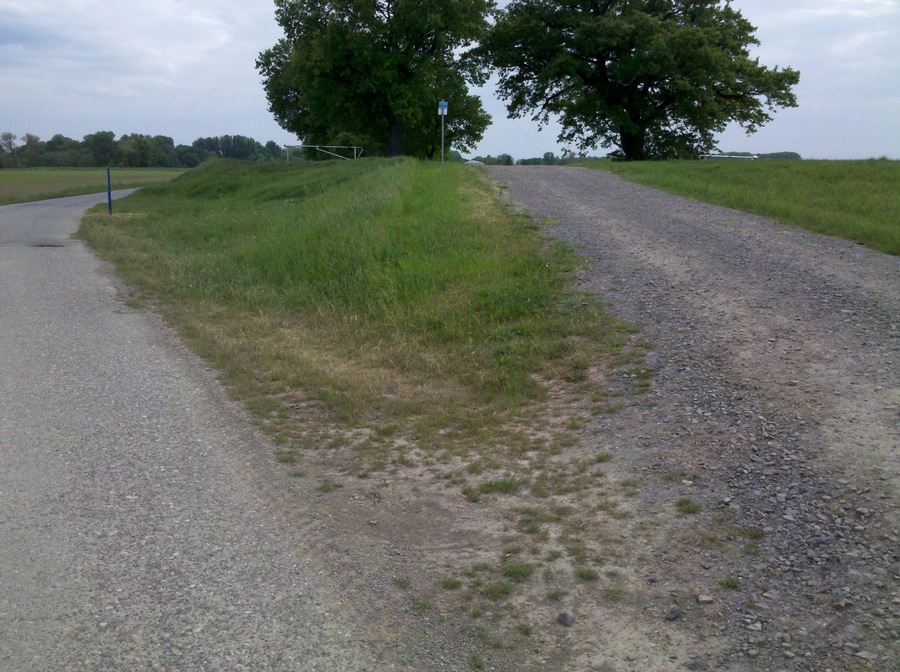 Elsterradweg begleitender Deichverteidigungsweg bei Wiederau im Mai 2016