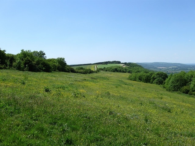 Billede "Storrington og Sullington" af Simon Carey (CC BY-SA) / beskåret fra det originale billede