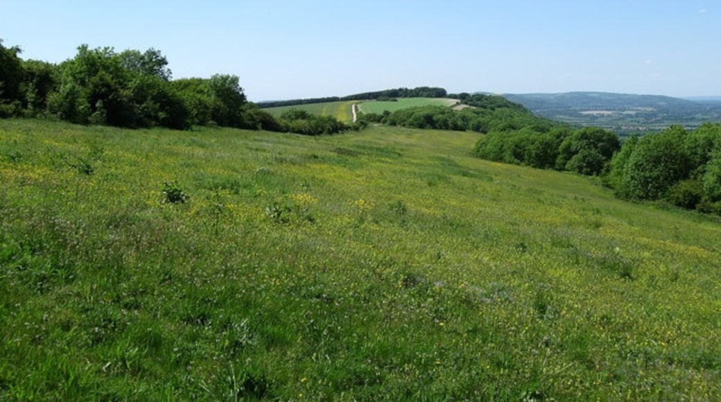 Billede "Storrington og Sullington" af Simon Carey (CC BY-SA) / beskåret fra det originale billede