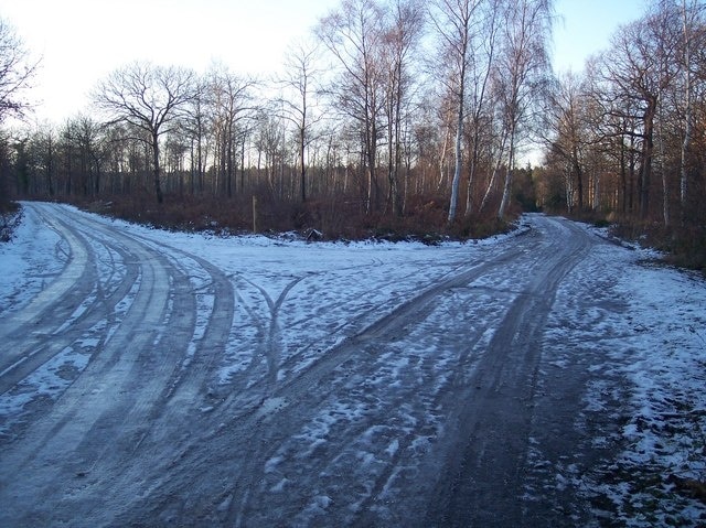 Track junction in Blean Woods The access track on the left is New Road, which leads to the A2, it is also the route of a footpath. The track on the right leads to Grimshill Wood and North Bishopden Wood.