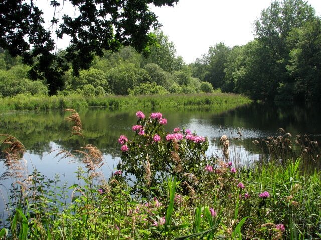 Foto „Scottow“ von Evelyn Simak (CC BY-SA)/zugeschnittenes Original