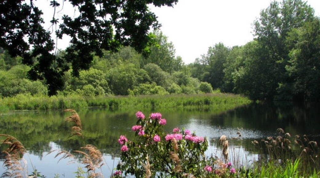 Photo "Scottow" by Evelyn Simak (CC BY-SA) / Cropped from original