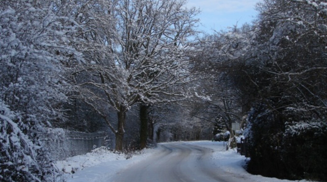 Ảnh "Làng Bisley" của Alan Hunt (CC BY-SA) / Cắt từ ảnh gốc