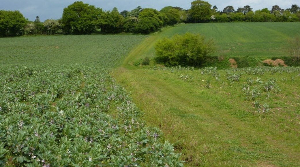 Photo "Tuddenham St Martin" by Andrew Hill (CC BY-SA) / Cropped from original