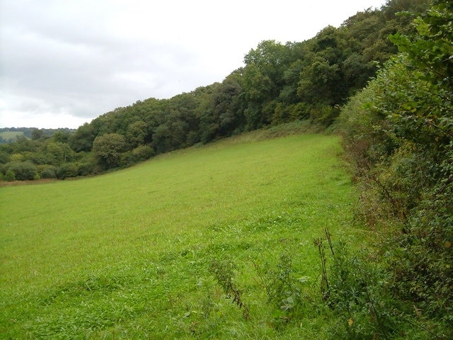 Culverwood. View from the lane from North Huish to Clunkamoor, near Lower Ford. The lane rises behind the hedge on the right towards the small wood.