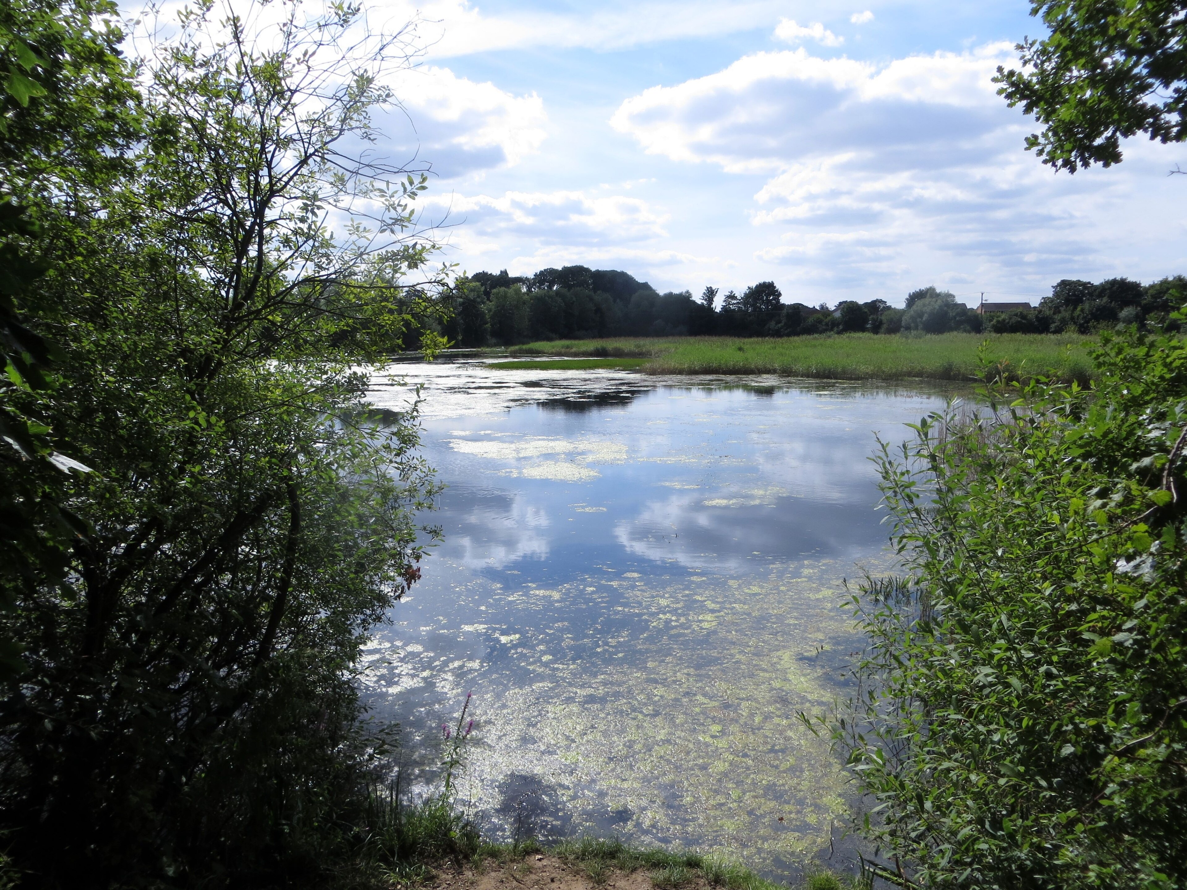 Foto “Little Paxton” tomada por Forester2009 (CC BY-SA); recorte de la original