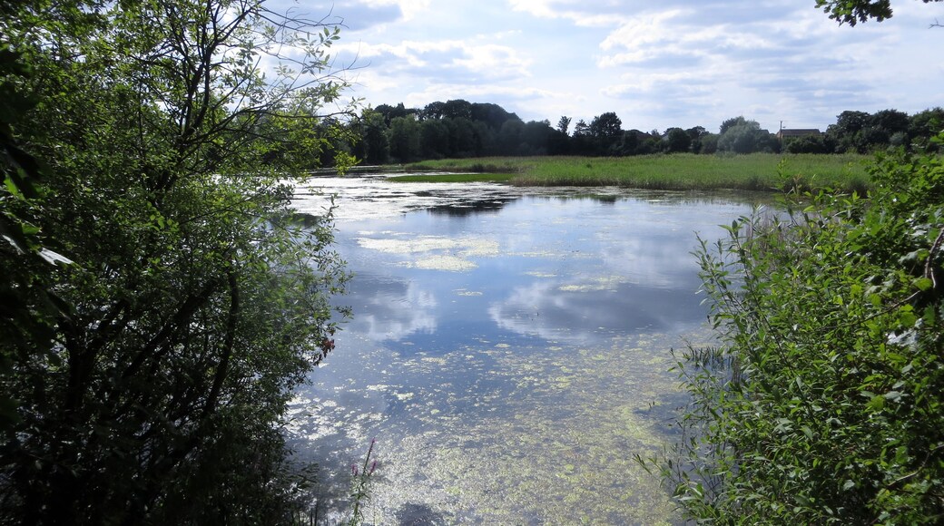 Foto “Little Paxton” tomada por Forester2009 (CC BY-SA); recorte de la original