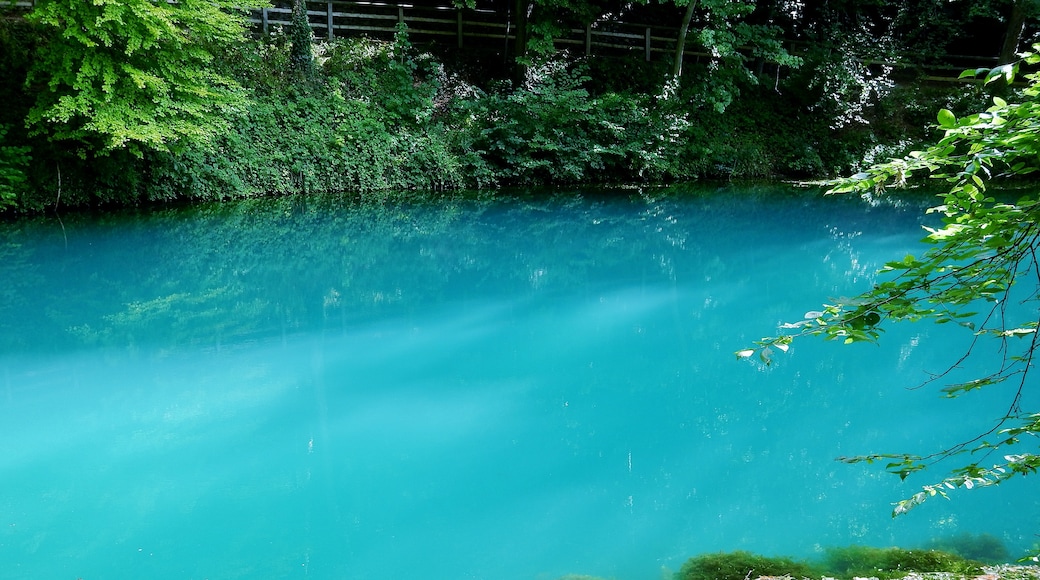 Photo "Blautopf" by qwesy qwesy (CC BY) / Cropped from original