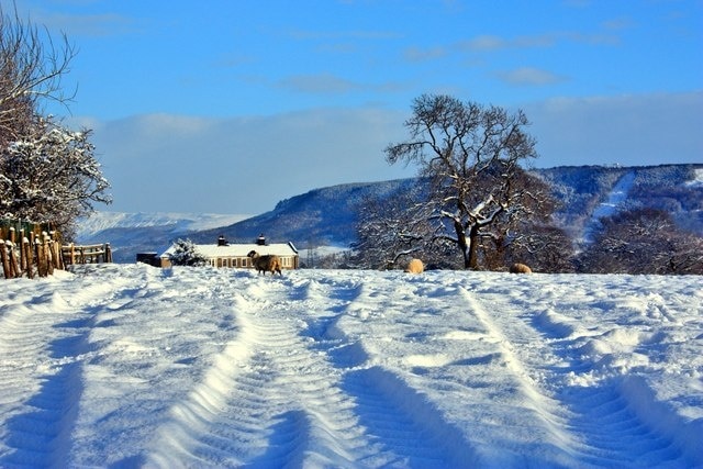 Field in Snow, East Harlsey The top of Harlsey Hall can be seen in the left background