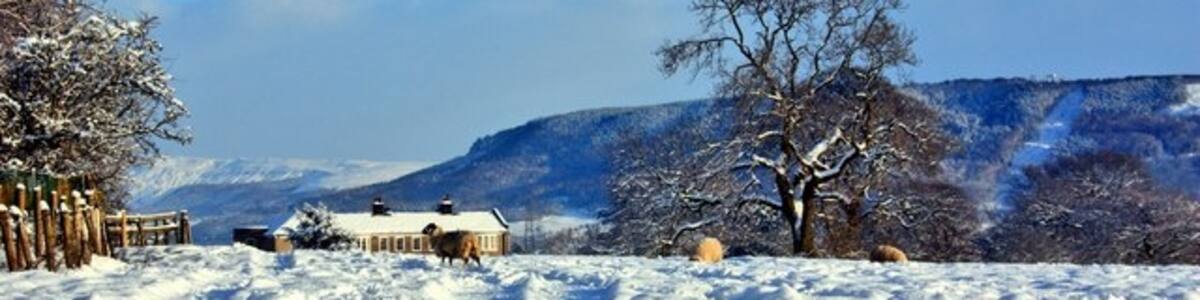 Photo "Field in Snow, East Harlsey The top of Harlsey Hall can be seen in the left background" by Paul Buckingham (Creative Commons Attribution-Share Alike 2.0) / Cropped from original