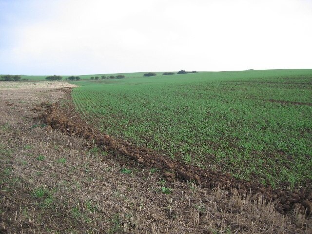 Ảnh "Rimswell" của Stephen Horncastle (CC BY-SA) / Cắt từ ảnh gốc