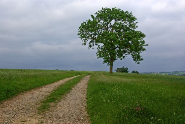 Foto “Abthorpe” tomada por Stephen McKay (CC BY-SA); recorte de la original