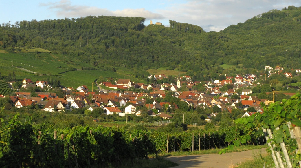 Photo "Schallstadt" by Andreas Schwarzkopf (CC BY-SA) / Cropped from original