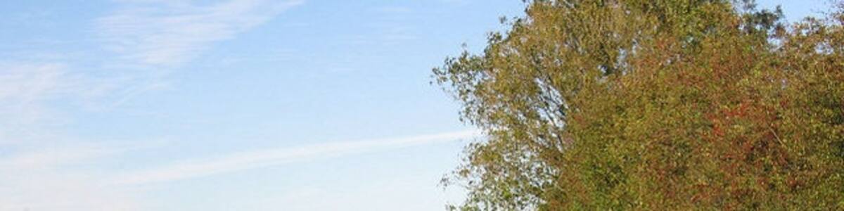 Photo "Uncultivated Edges A wide border round a field near High Green." by Roger Gilbertson (Creative Commons Attribution-Share Alike 2.0) / Cropped from original