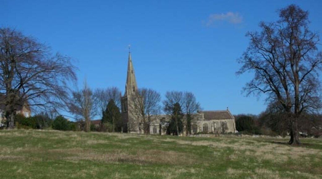 Foto “Woodford” tomada por Will Lovell (CC BY-SA); recorte de la original