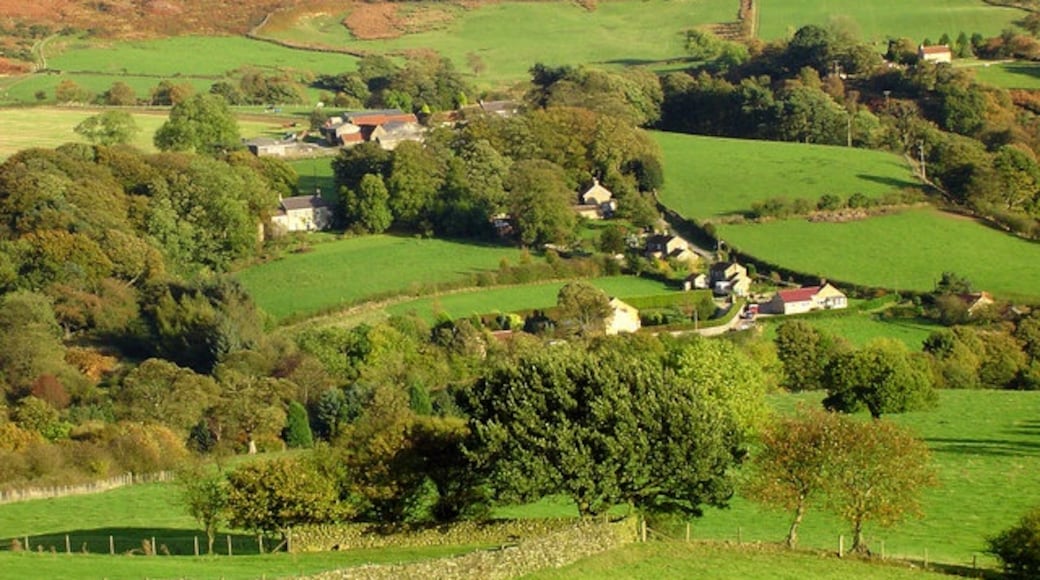 Billede "Bilsdale Midcable" af Scott Rimmer (CC BY-SA) / beskåret fra det originale billede