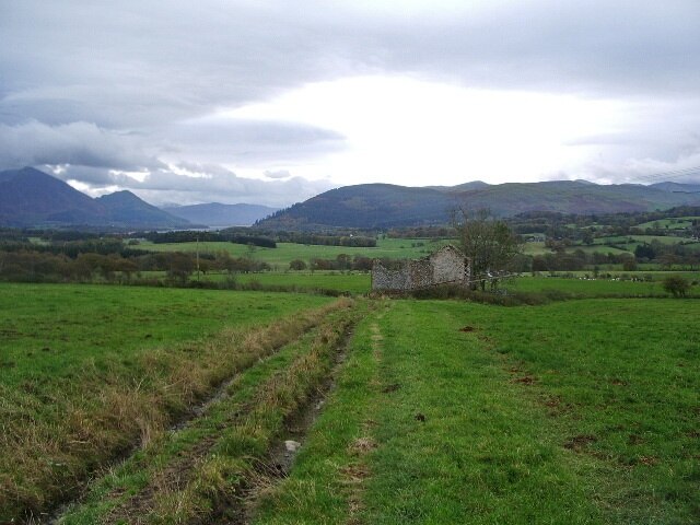 Photo "Blindcrake" by Alexander P Kapp (CC BY-SA) / Cropped from original