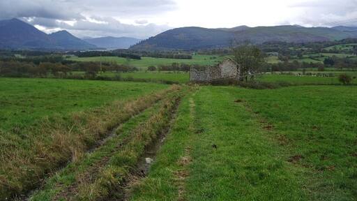 Photo "Blindcrake" by Alexander P Kapp (CC BY-SA) / Cropped from original