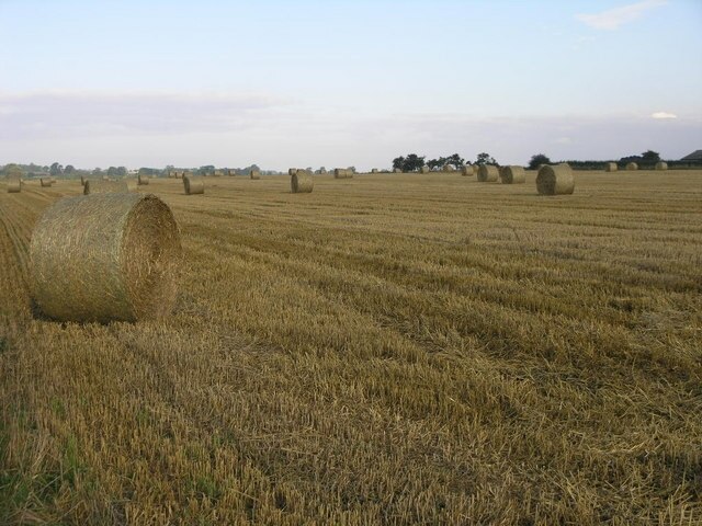 Kuva ”Ashby ja Scremby” käyttäjältä Michael Patterson (CC BY-SA) / rajattu alkuperäisestä kuvasta