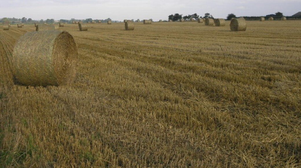 Foto "Ashby con Scremby" por Michael Patterson (CC BY-SA) / Recortada de la original