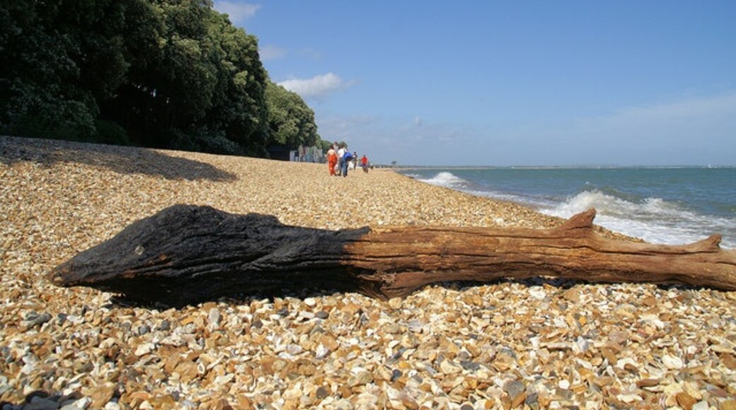 Photo "Calshot Beach" by Pierre Terre (CC BY-SA) / Cropped from original