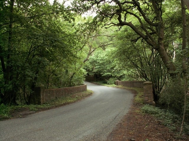 Part of a road called Bucks Alley Bayford Wood is on the right side of the road and Bell's Wood is on the left.