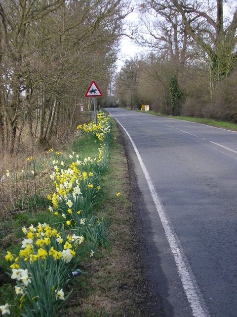 Foto "Wokingham Without" de don cload (CC BY-SA) / Recortada do original