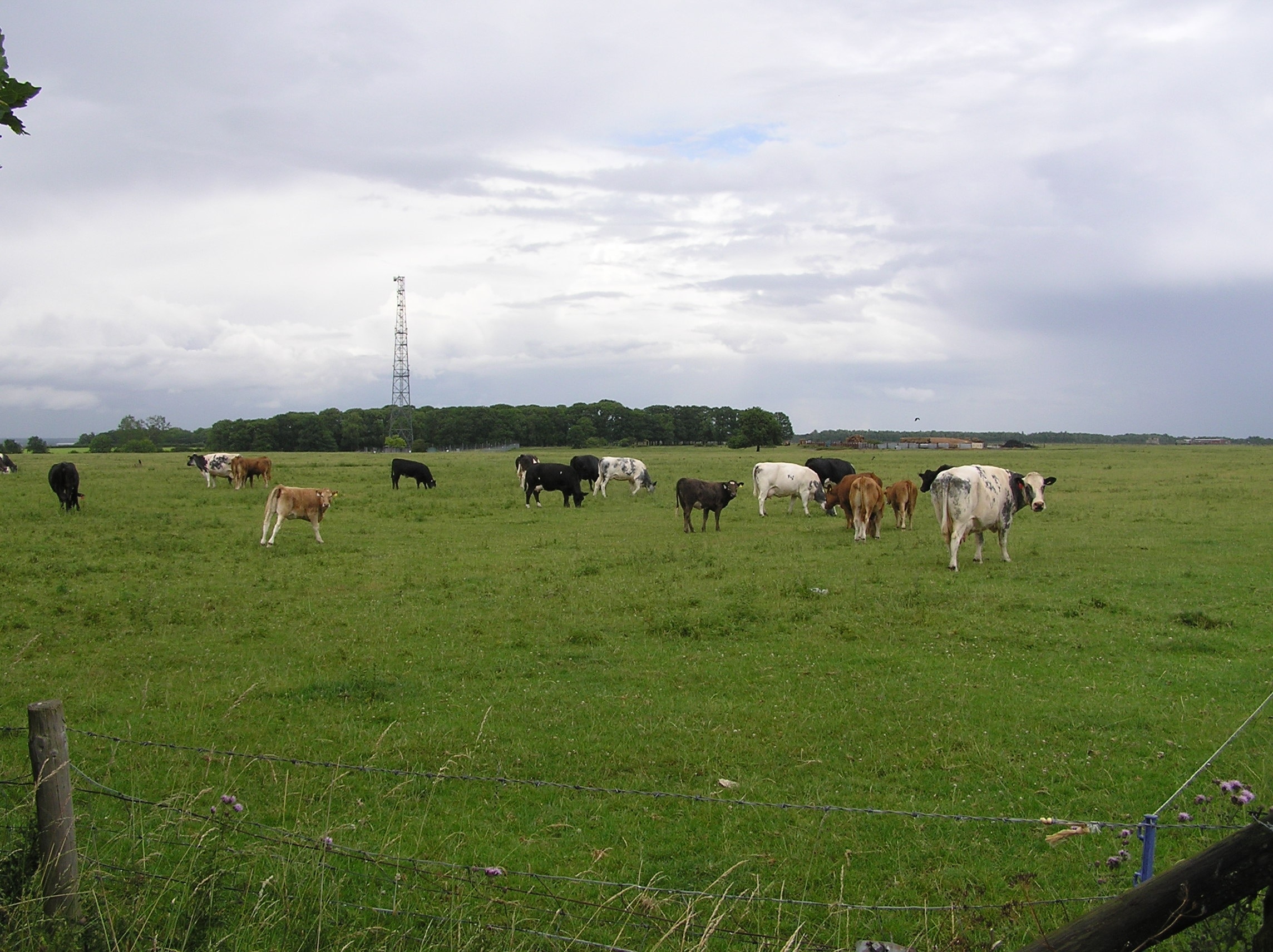 Foto “Chelveston cum Caldecott” tomada por Forester2009 (CC BY-SA); recorte de la original