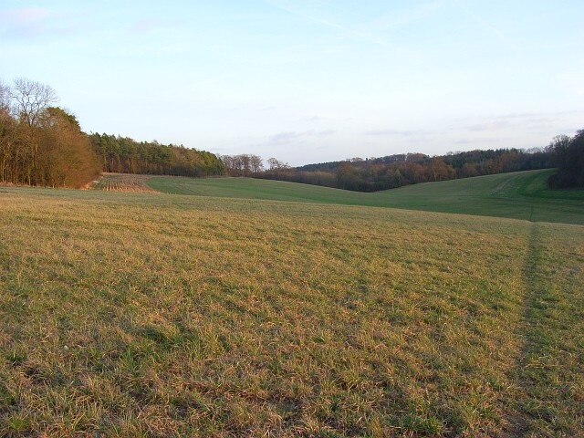 Photo "Ashampstead" by Andrew Smith (CC BY-SA) / Cropped from original