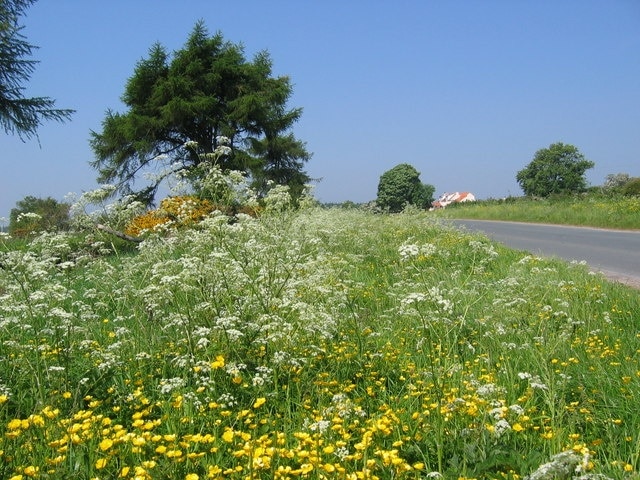 West of Newton-on-Rawcliffe. The road heads north to Cropton Forest.