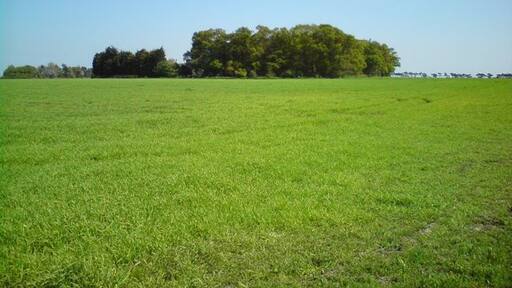 Foto „Levington“ von Tim Marchant (CC BY-SA)/zugeschnittenes Original