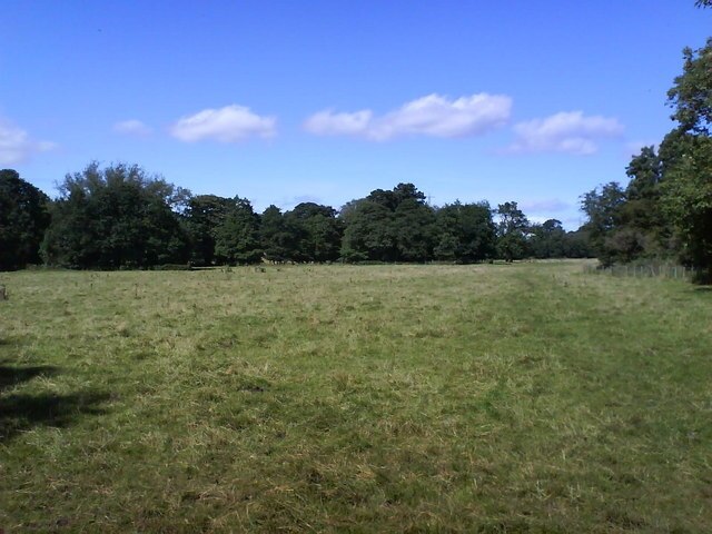 "Landmoth-cum-Catto"-foto av Matthew Hatton (CC BY-SA) / Urklipp från original