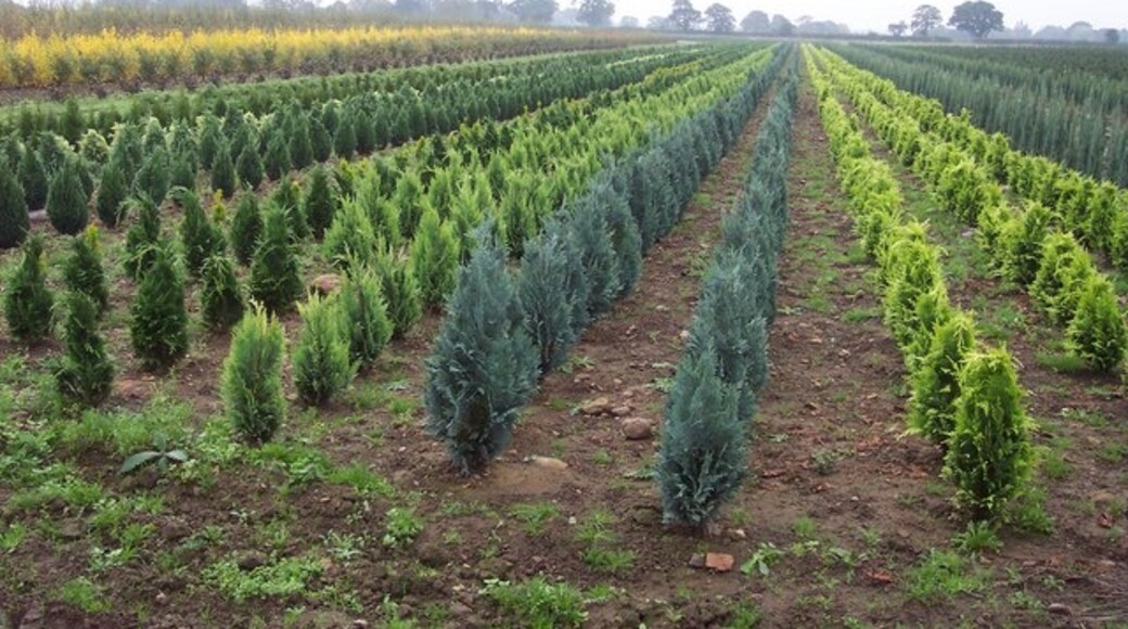 Foto „Thornville“ von Jonathan Billinger (CC BY-SA)/zugeschnittenes Original