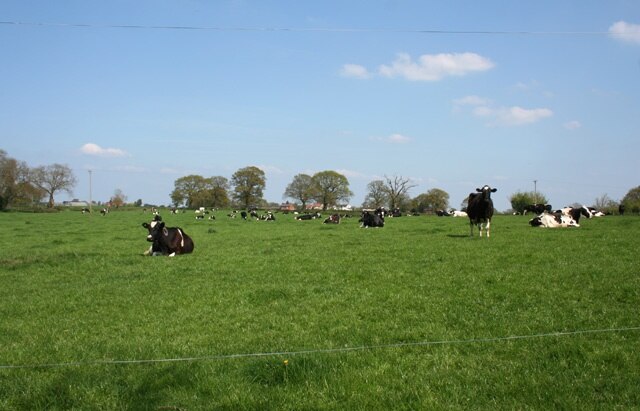 "Ightfield"-foto av Espresso Addict (CC BY-SA) / Urklipp från original