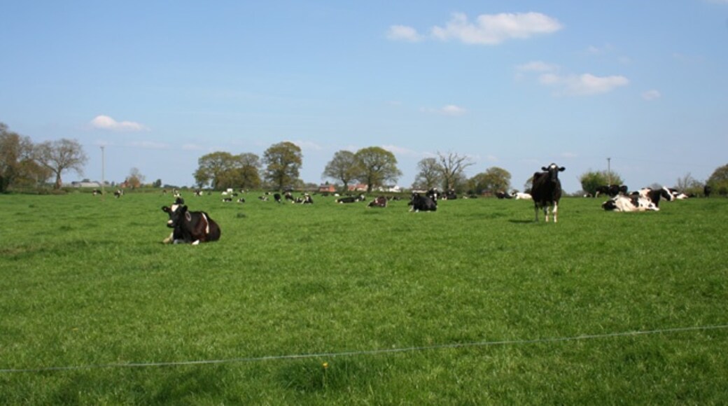 Photo "Ightfield" by Espresso Addict (CC BY-SA) / Cropped from original