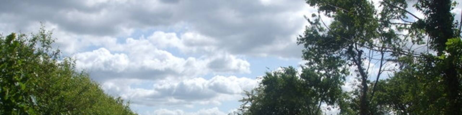 College Road (track)