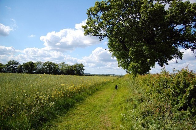 Foto “Stanstead” tomada por Trevor Harris (CC BY-SA); recorte de la original
