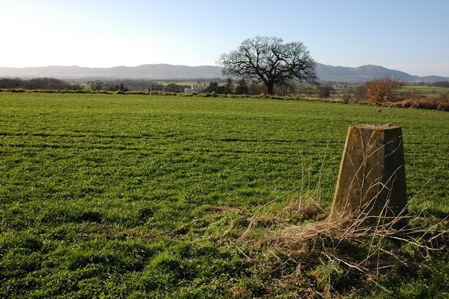 Photo "Severn Stoke" by Philip Halling (CC BY-SA) / Cropped from original